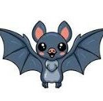chauve-souris