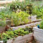 bac de plantation en bois de palette