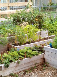 bac de plantation en bois de palette